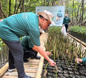 Ahmad Zayadi, Direktur Penerangan Agama Islam menanam bibit pohon mangrove di Angke, Jakarta Utara.